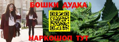 сатива Владимир