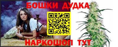 сатива Владимир