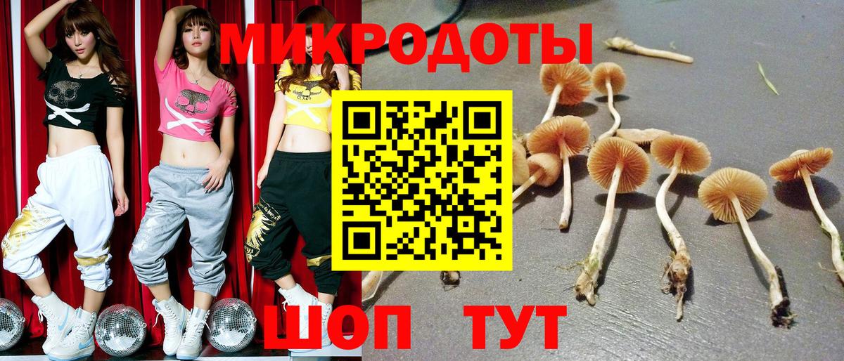 Псилоцибиновые грибы мухоморы  Вход с VPN  Сосновый Бор  Псилоцибиновые грибы Psilocybine cubensis 