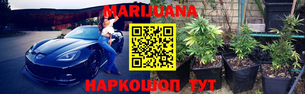 Конопля марихуана Сосновый Бор